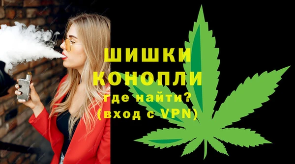 соль ск Вяземский