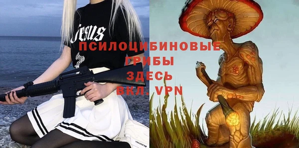 соль ск Вяземский