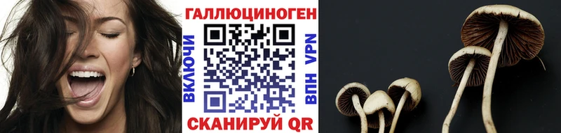 Псилоцибиновые грибы MAGIC MUSHROOMS  Купить  Кумертау 